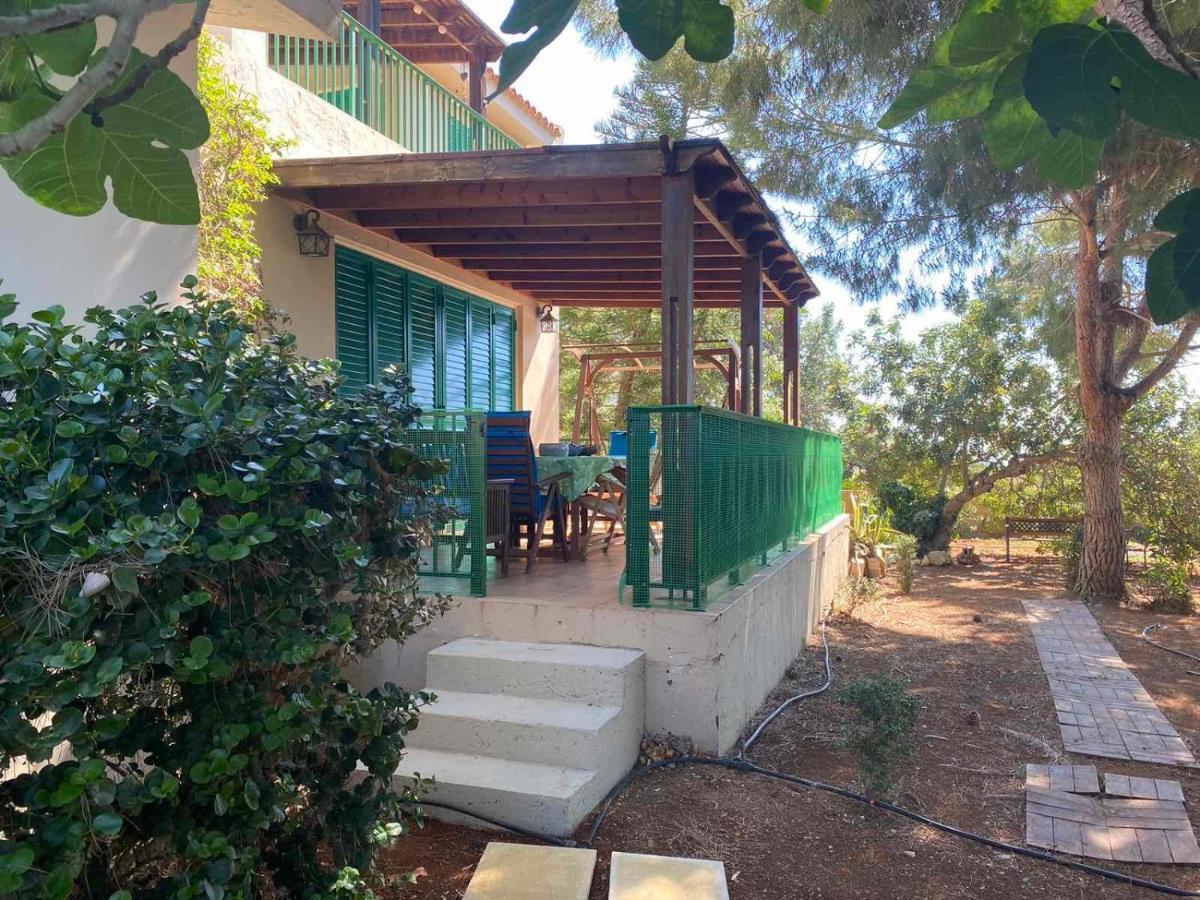 Konnos Villa Протарас Екстериор снимка